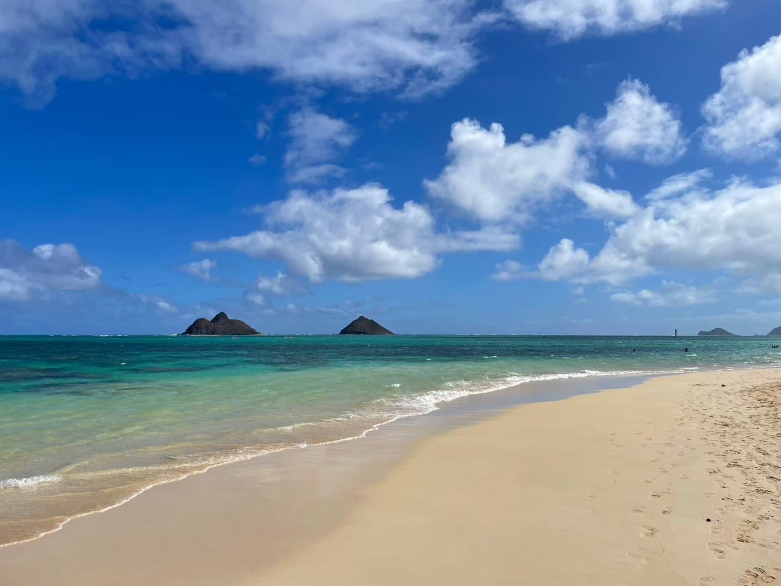 Condo in Honolulu · ★4.38 · Studio · 2 beds · 1 private bath - Image 35