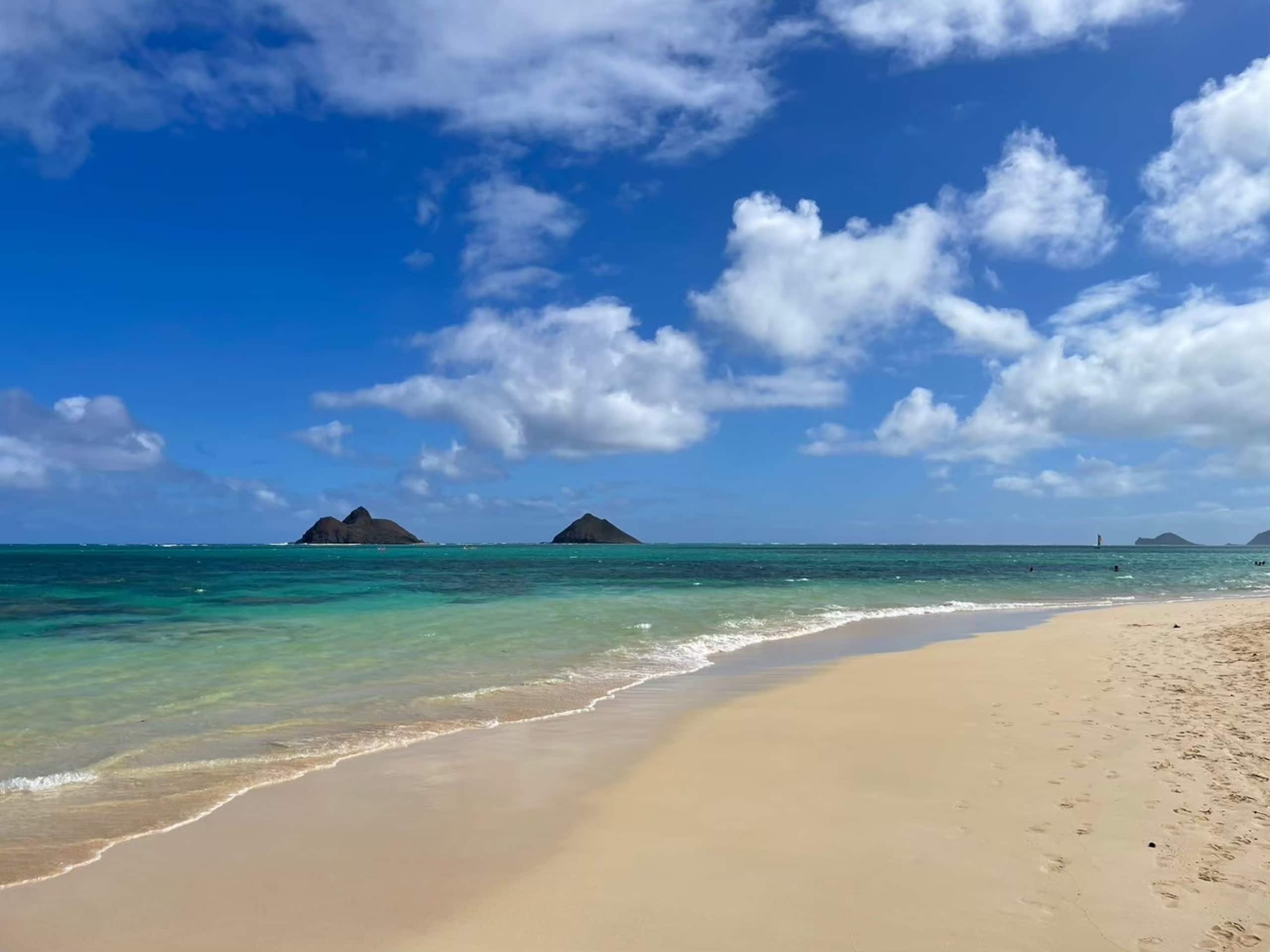 Condo in Honolulu · ★4.67 · Studio · 2 beds · 1 bath - Image 23