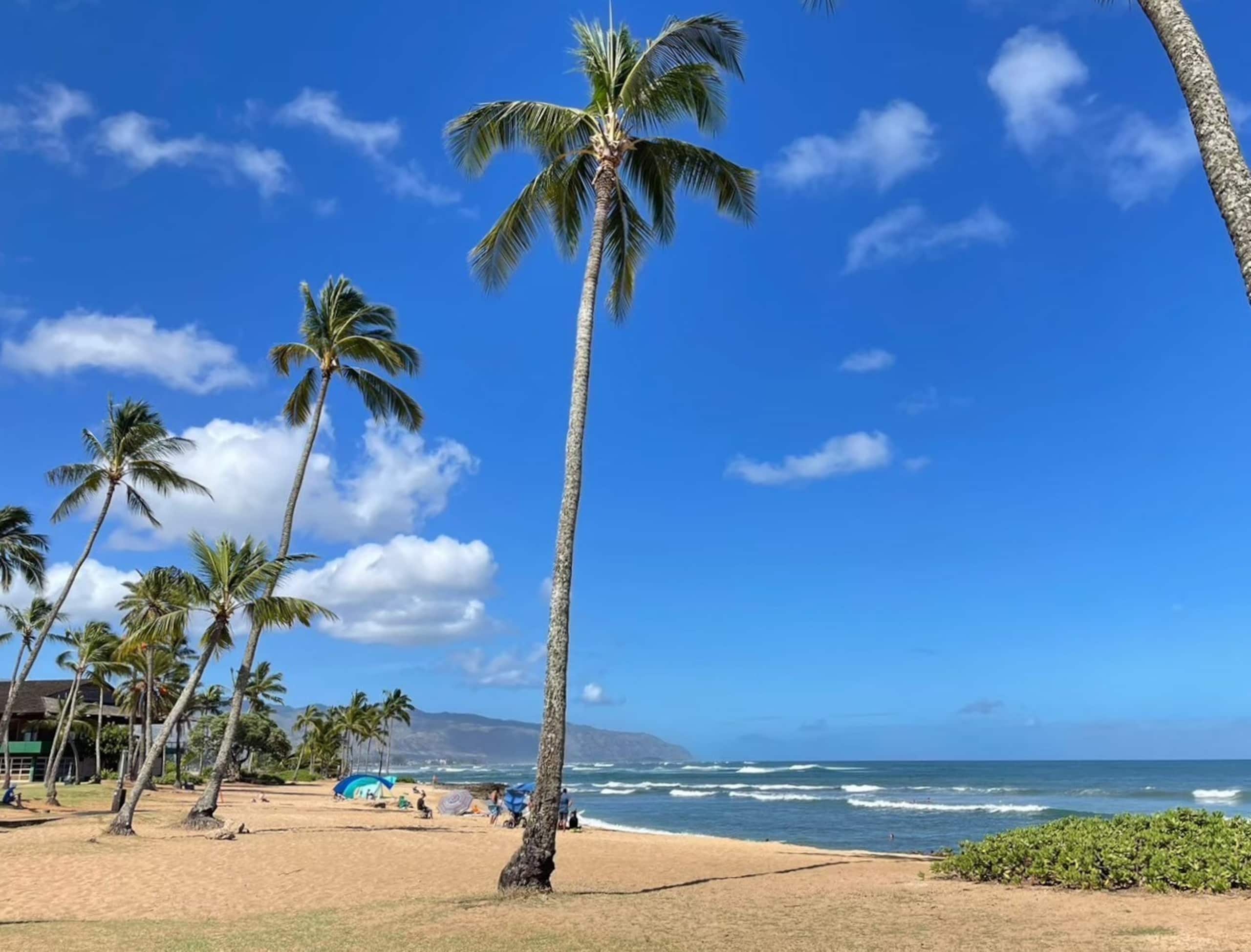 Condo in Honolulu · ★4.67 · Studio · 2 beds · 1 bath - Image 26