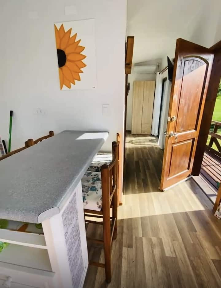 Futrono,
 Zona Precordillerana - Futrono