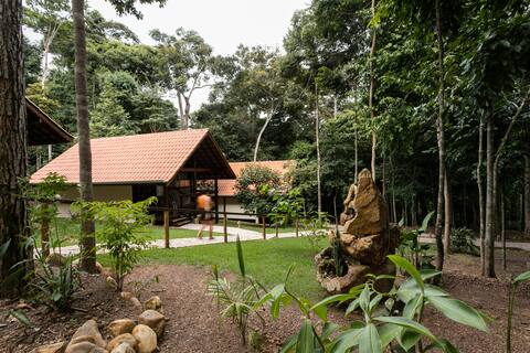 Chalé do Jamacá_Araçari