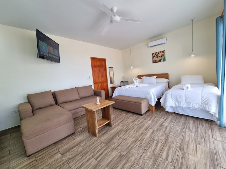 Tunari es studio type has 1 queen bed, a sofa bed and a single bed. Potpuno opremljena keramička kuhinja s pločom za kuhanje, TV, klima-uređaj. 