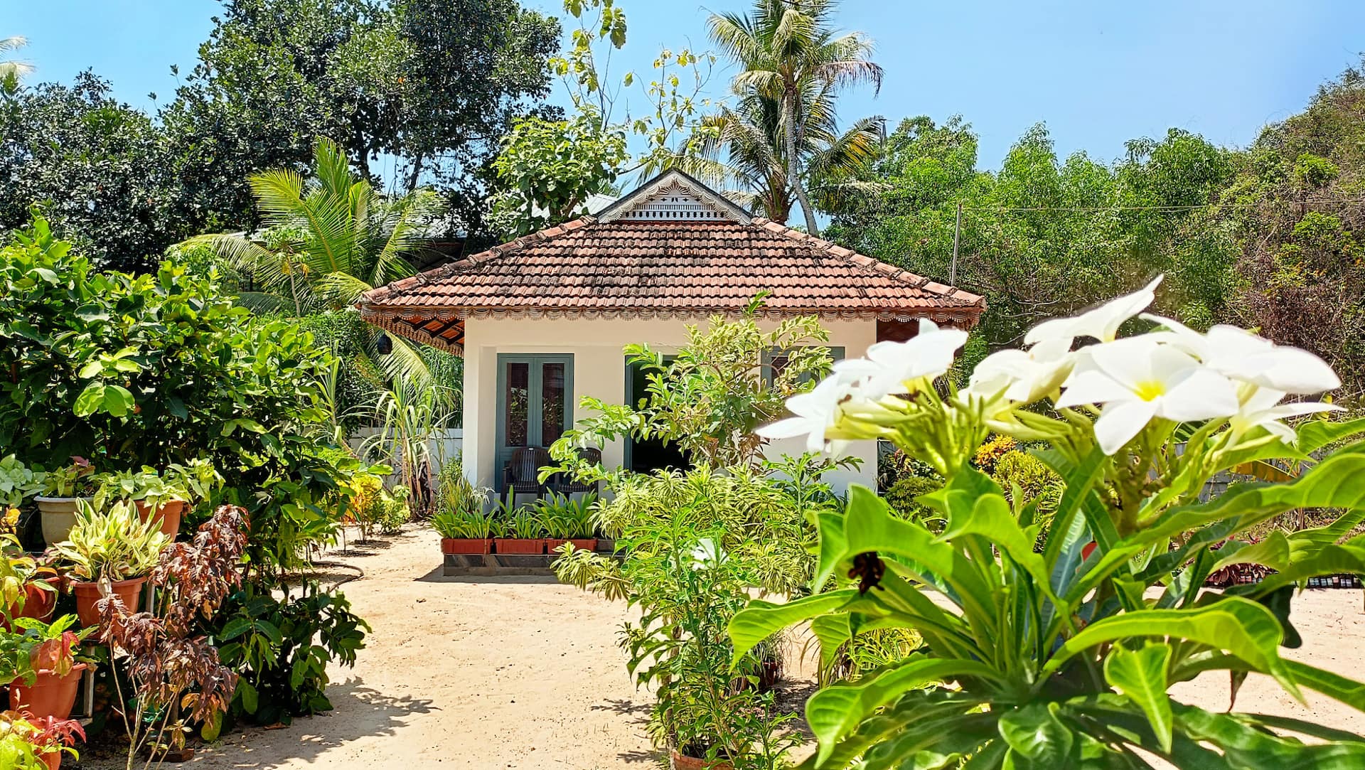 Marari Yoga: Private Villa Surrounded by Greenery