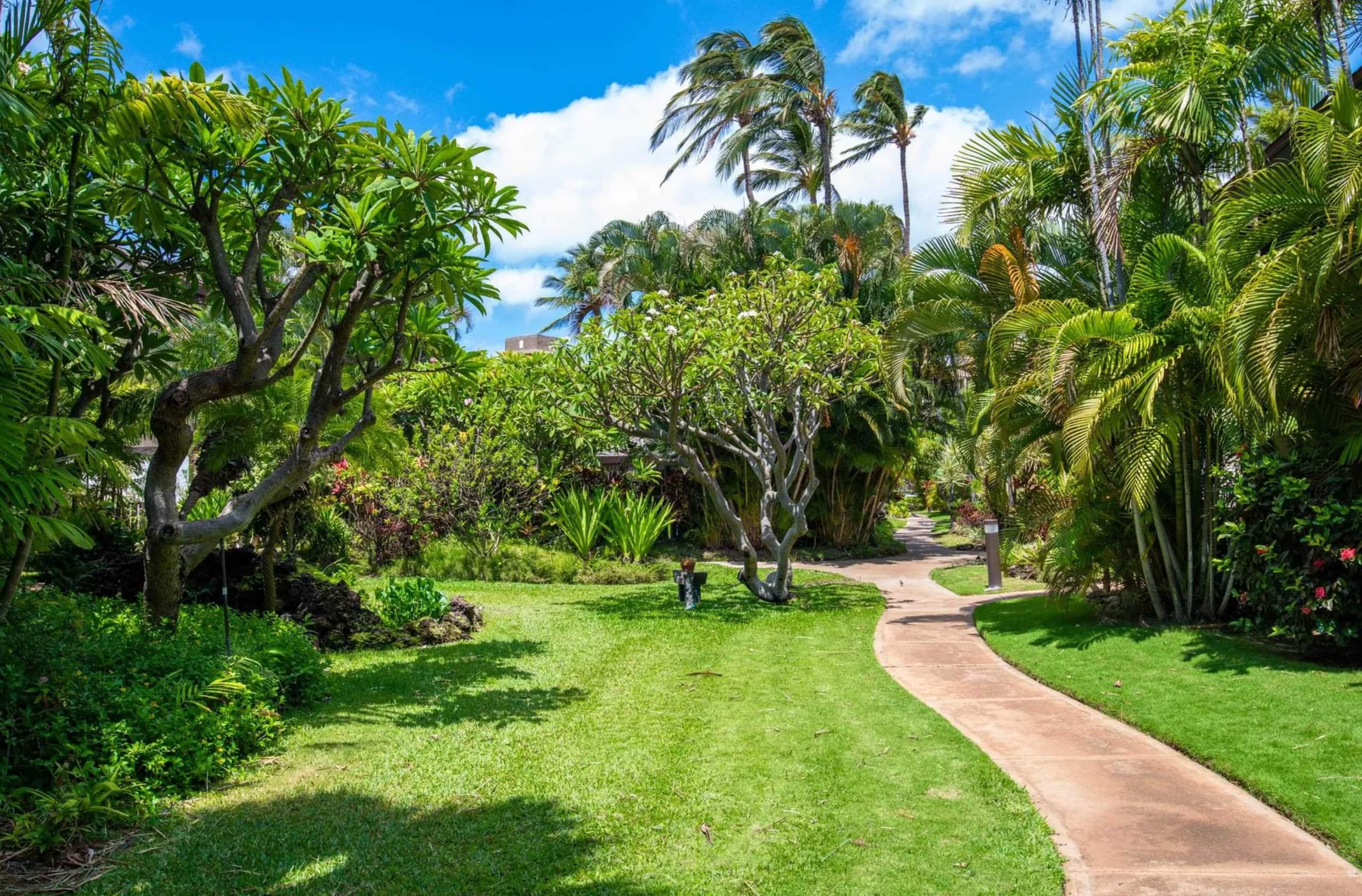 Newly Remodeled Near the Beach - Image 20