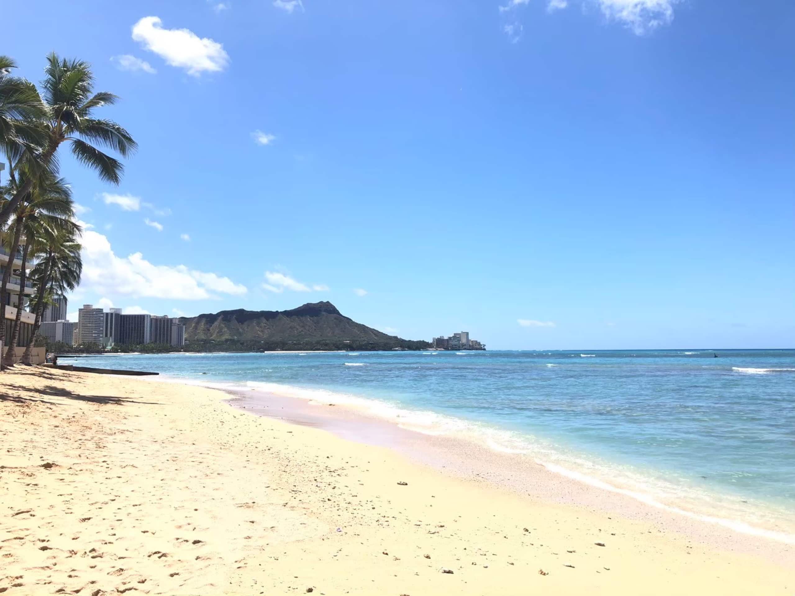 Condo in Honolulu · ★4.77 · 1 bedroom · 2 beds · 1 private bath - Image 28