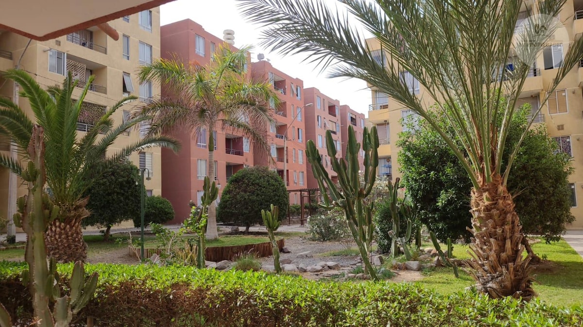 The image presents a landscaped garden area featuring various palm and cactus plants, bordered by lush greenery. Surrounding apartments are visible in the background, creating a serene atmosphere within the space.