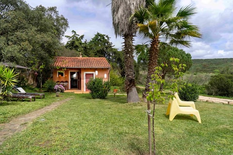 Successful Airbnb property: CASA FEE on the West Algarve in Vila Do Bispo E Raposeira