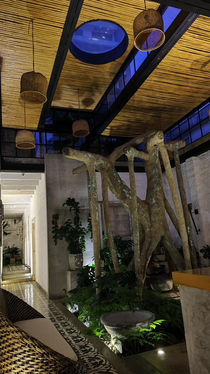 The interior corridor features a high ceiling adorned with bamboo beams and unique hanging light fixtures. A natural wood sculpture stands amidst lush greenery, while soft lighting highlights the serene atmosphere. The walls are complemented by textured surfaces and a patterned floor that enhances the inviting space.