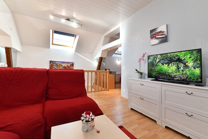 Gîte Convivial 3 éToiles Entre Colmar Et Mulhouse - Mulhouse