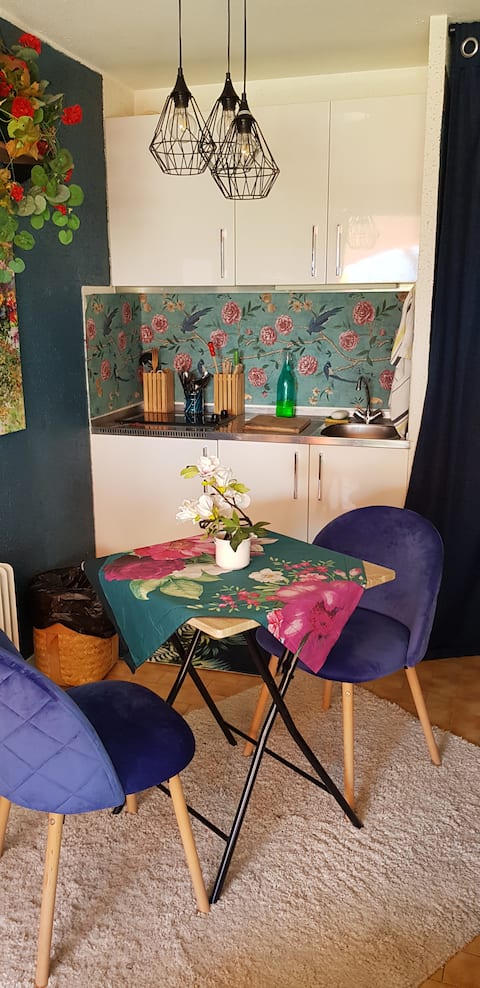 Popular Airbnb listing: Flowery Beachfront Getaway in La Grande Motte