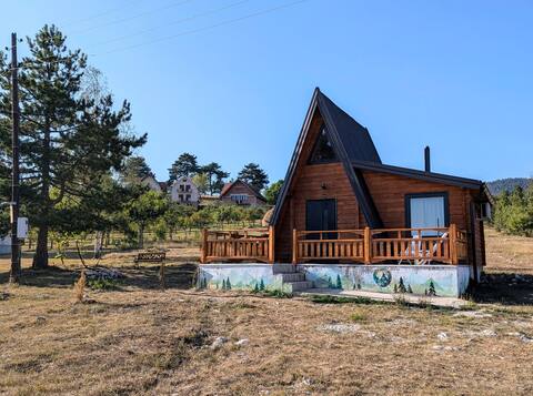 AA Pine vacation rental/cabin for rent