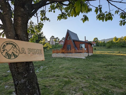 AA Pine vacation rental/cabin for rent