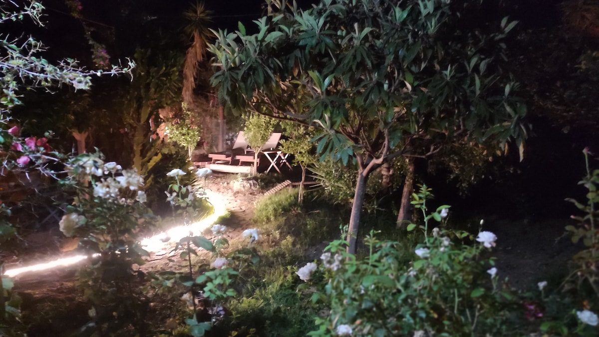 A peaceful garden is visible at night, illuminated by soft lighting along a pathway. Various flowering plants and trees frame the scene, including roses in bloom. Two lounge chairs are set amidst the greenery, inviting relaxation in this secluded outdoor space.