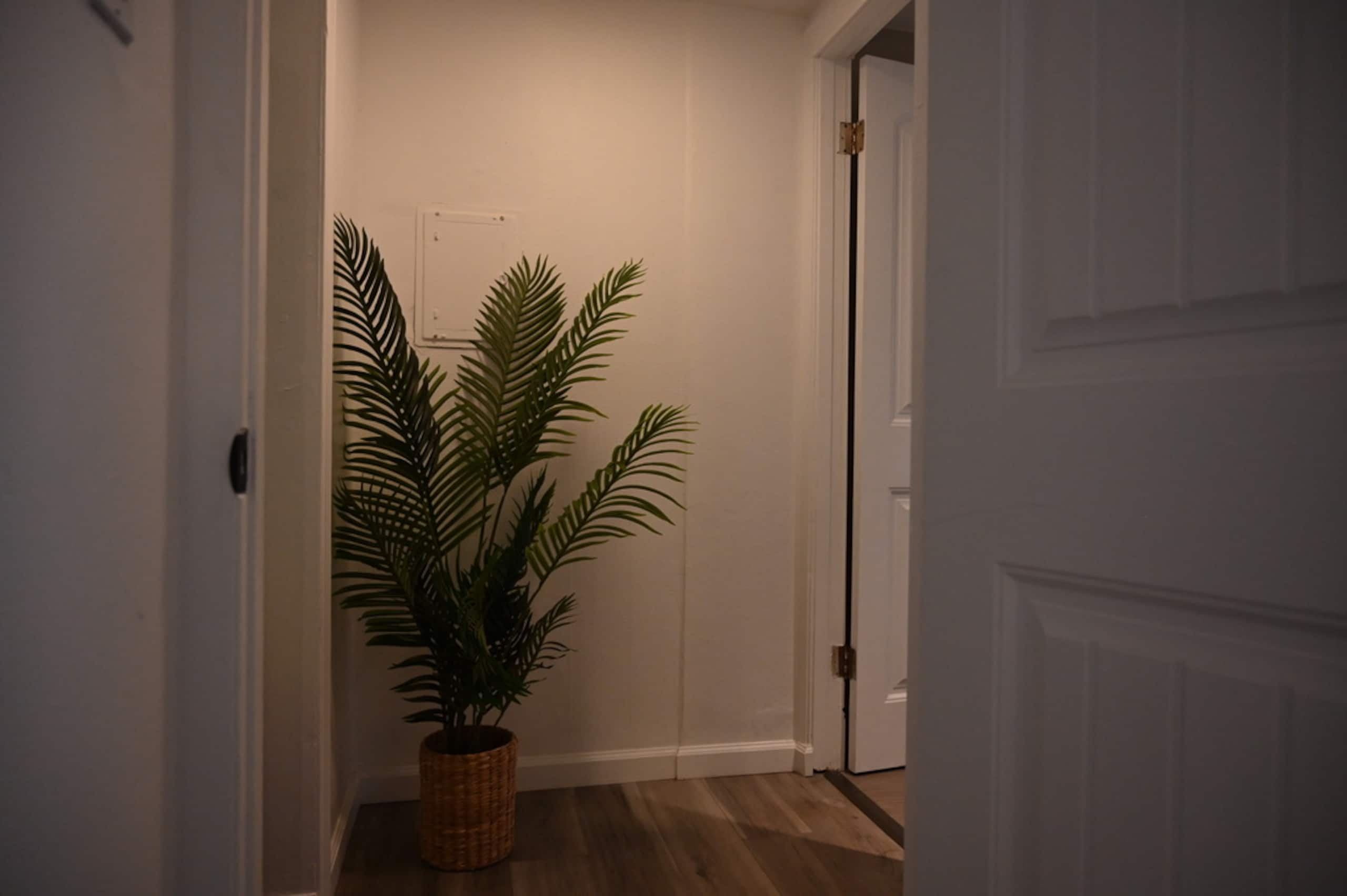 Condo in Honolulu · ★5.0 · 1 bedroom · 1 bed · 1 private bath - Image 30