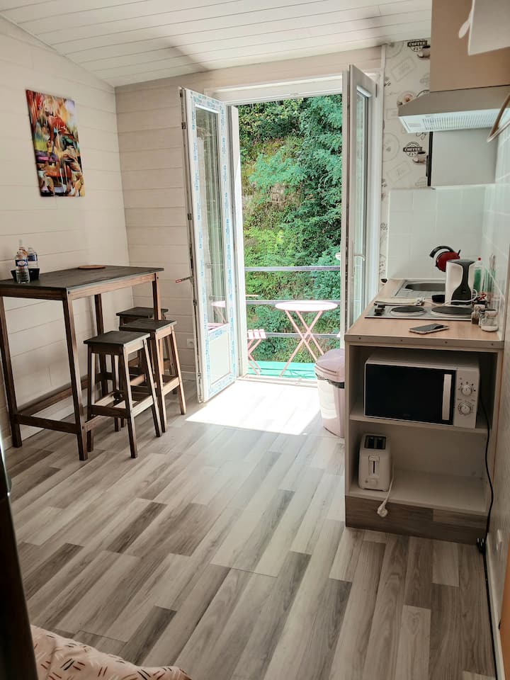 Hibiscus Studio 3 Pers. Vue Forêt Balcon Privatif - Saint-Saturnin
