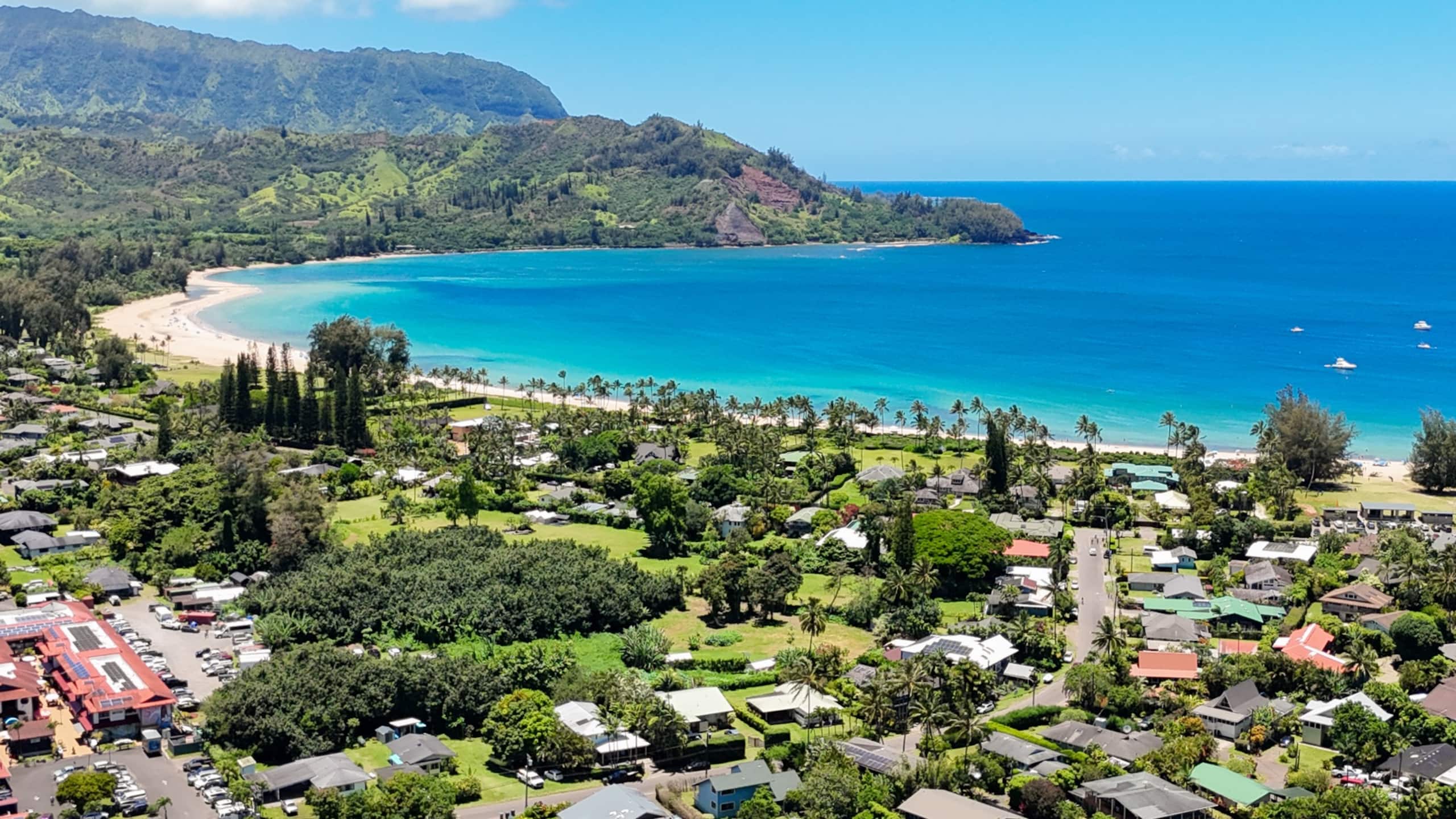 Home in Hanalei · ★4.87 · 5 bedrooms · 6 beds · 2 private baths - Image 47