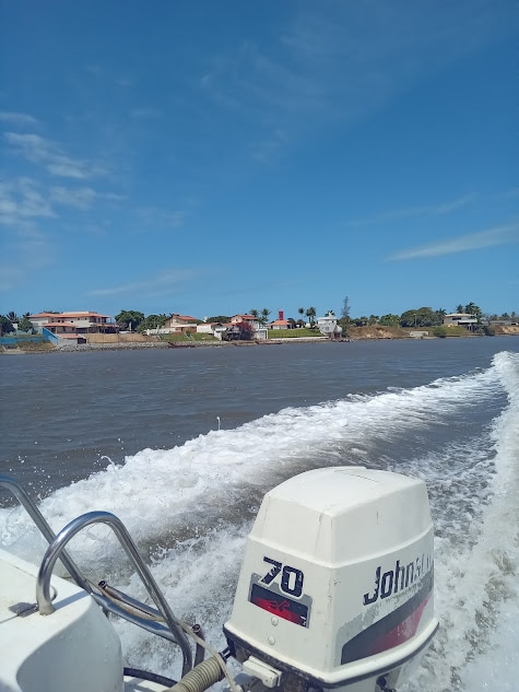A view captured from a boat features gentle waves as the shoreline comes into view, with a collection of houses and greenery lining the water's edge. The clear blue sky contrasts with the ripples created by the boat's movement.
