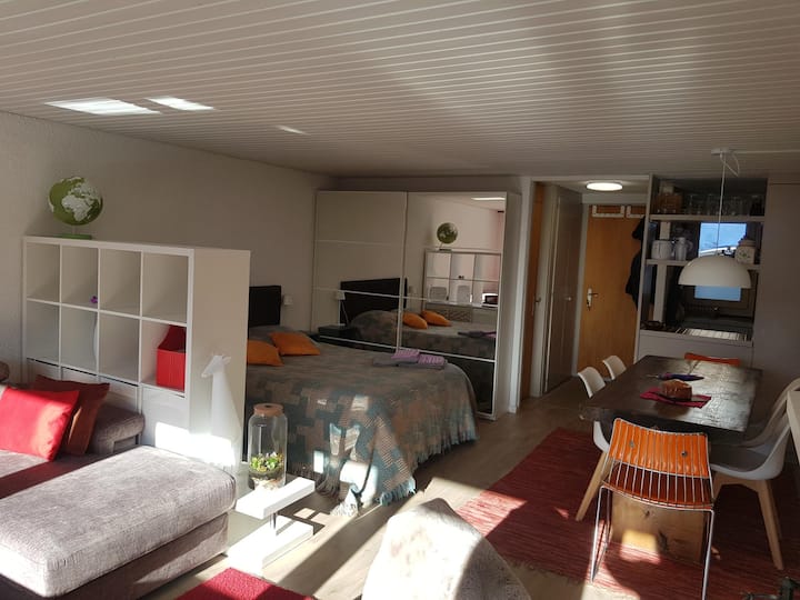 Alpe Des Chaux Appartement Ski In-out - Les Diablerets