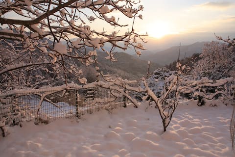 House with very nice view.