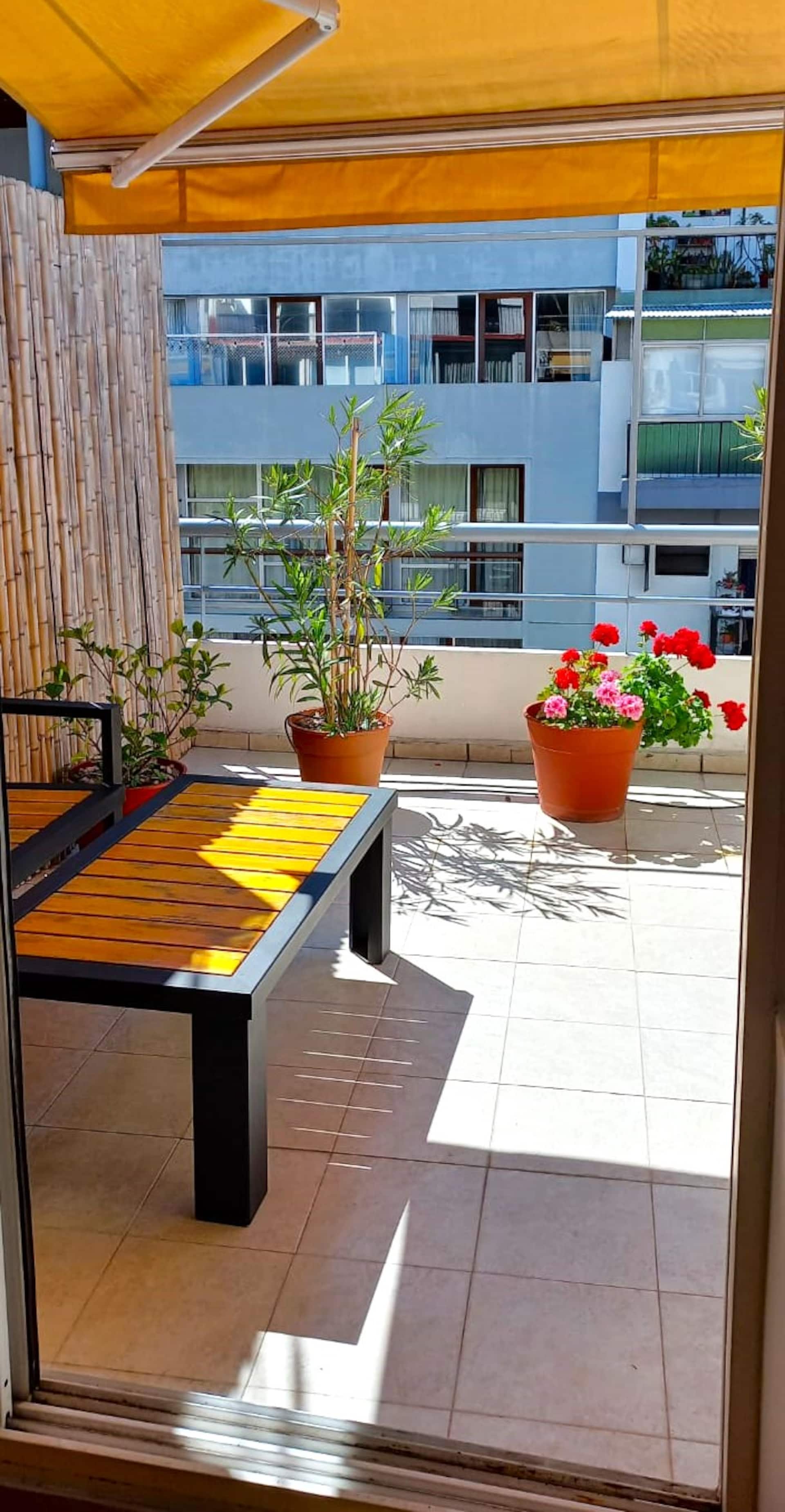 Bright one-bedroom apartment in Palermo