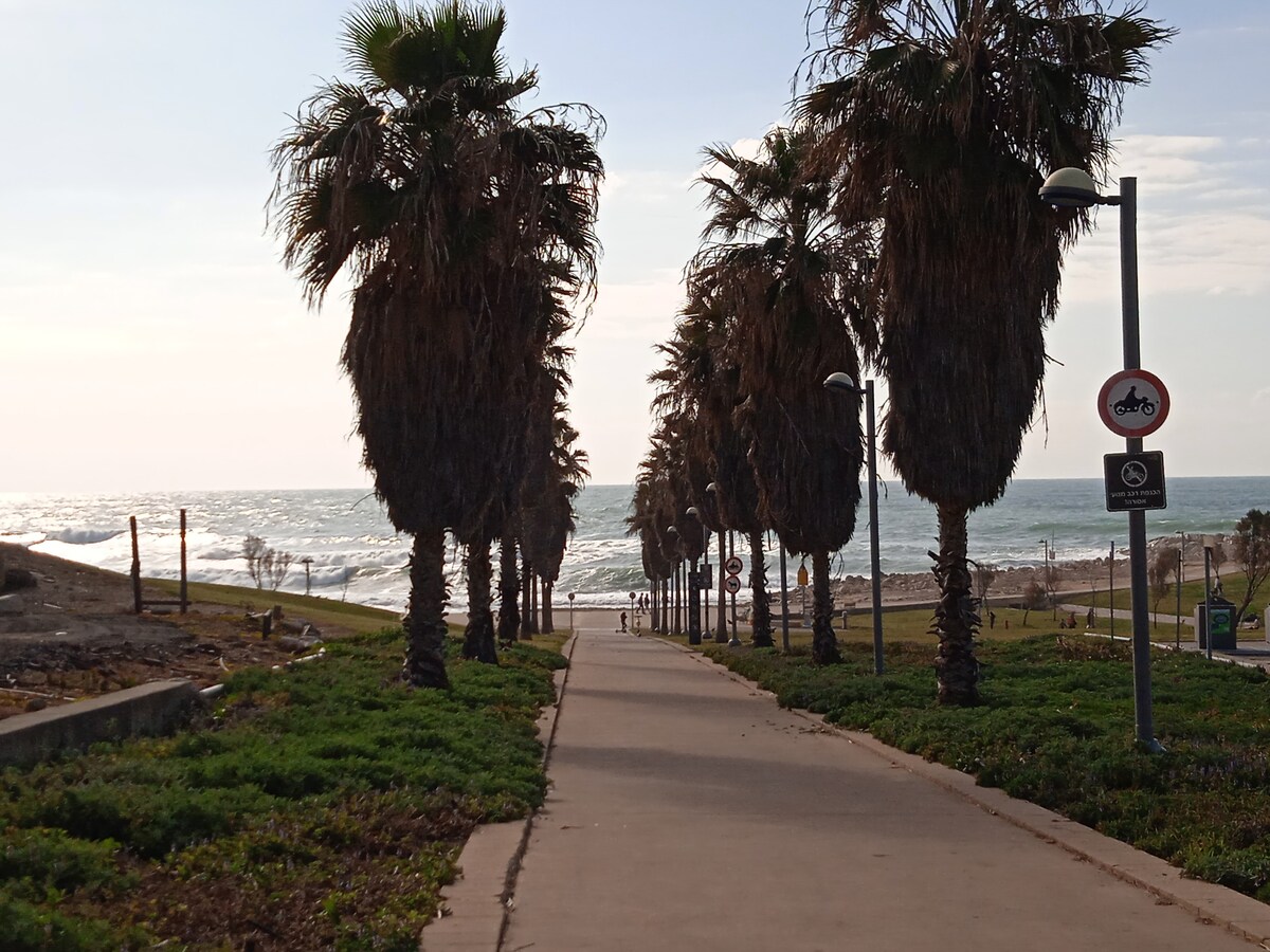 A pathway lined with tall palm trees leads towards a sandy beach, with waves gently crashing in the distance. The sky is partially cloudy, and greenery frames the pathway, enhancing the scenic view of the ocean.