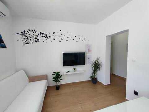 Popular Airbnb listing: Apartment Kuvek in Općina Marina