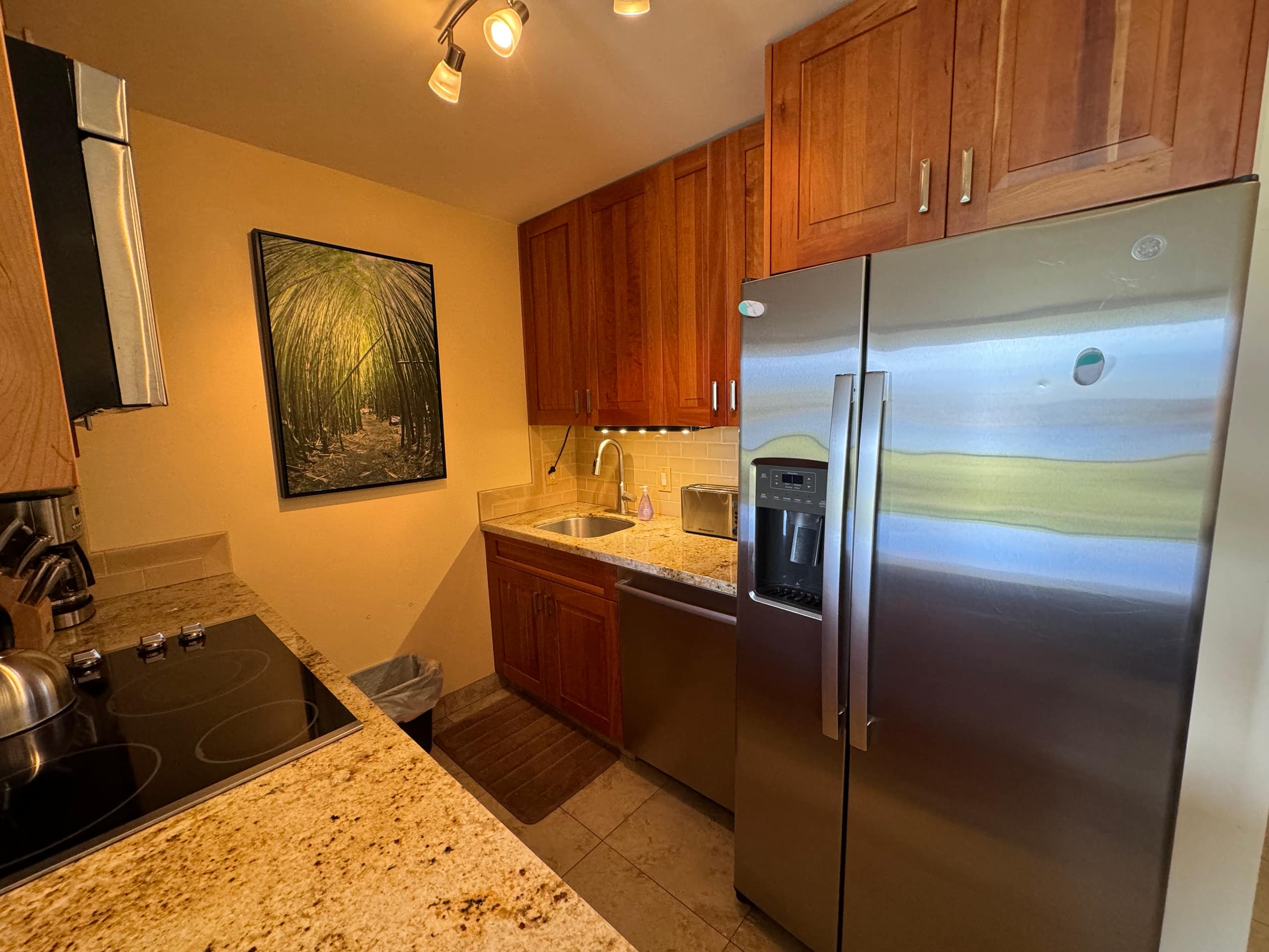 Stunning 2BD/2BA Oceanfront Condo - Image 10