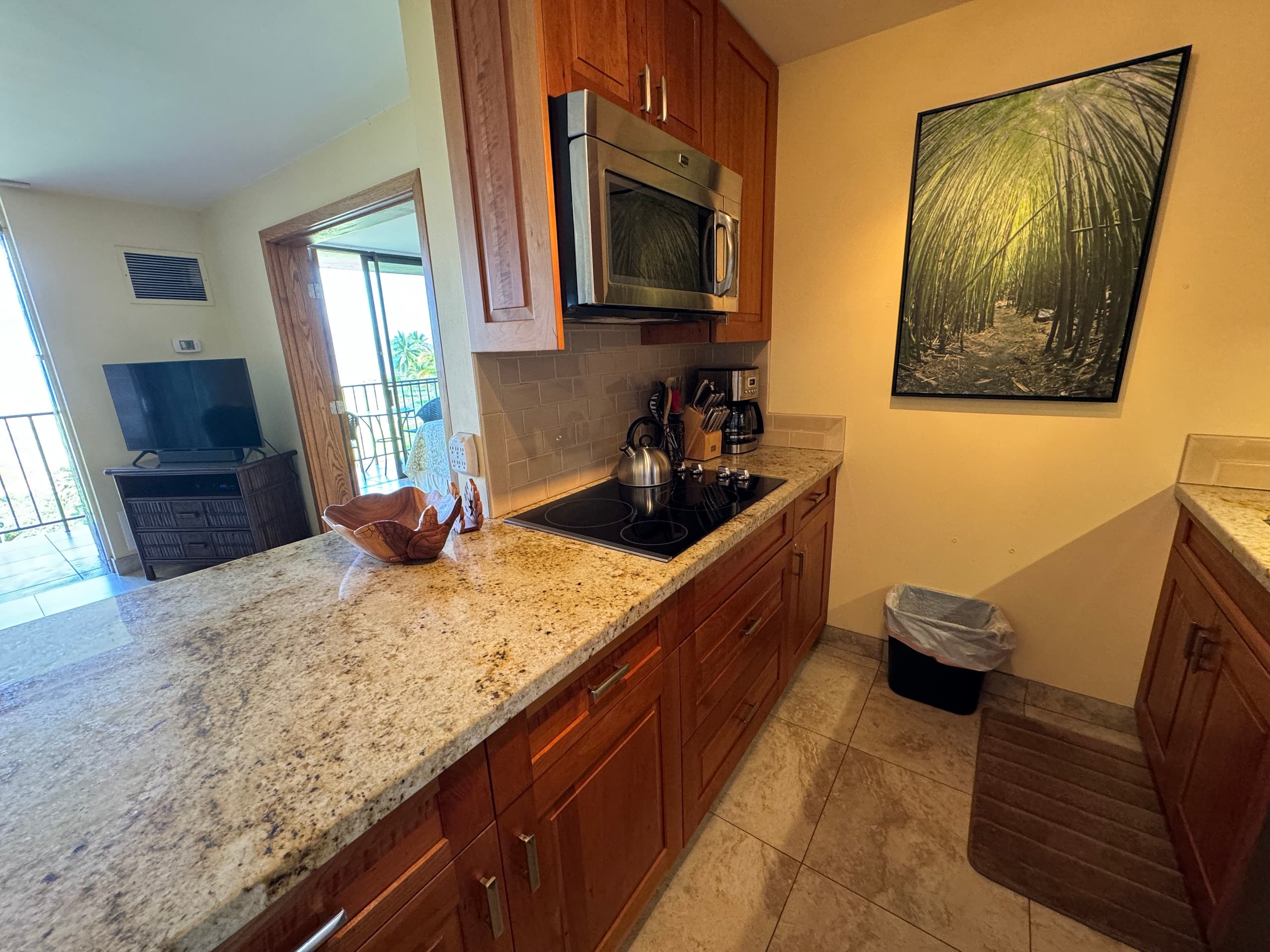 Stunning 2BD/2BA Oceanfront Condo - Image 8