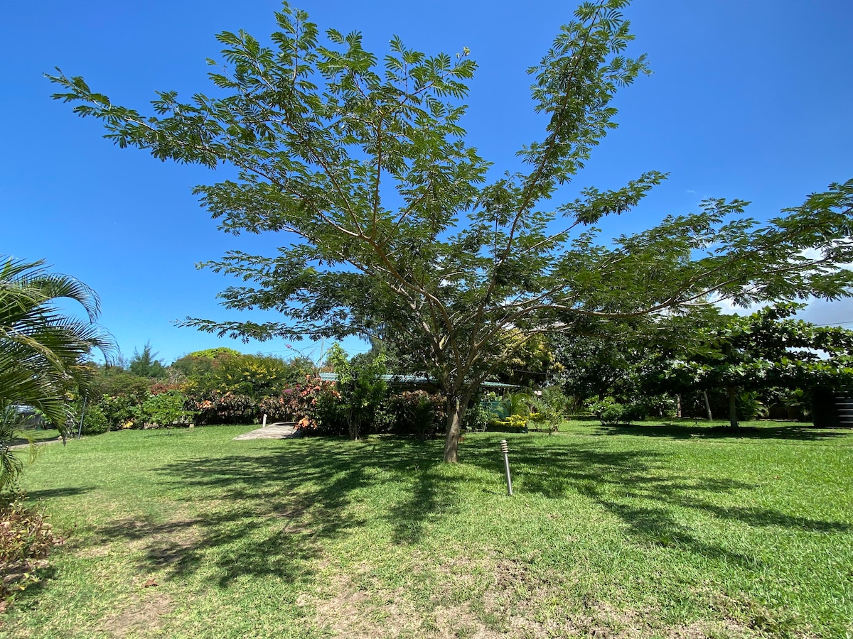 A large tree provides shade in a grassy area surrounded by vibrant gardens. Various plants and shrubs are visible in the background, contributing to the natural setting. Clear blue skies complement the greenery, enhancing the outdoor space's peaceful atmosphere.