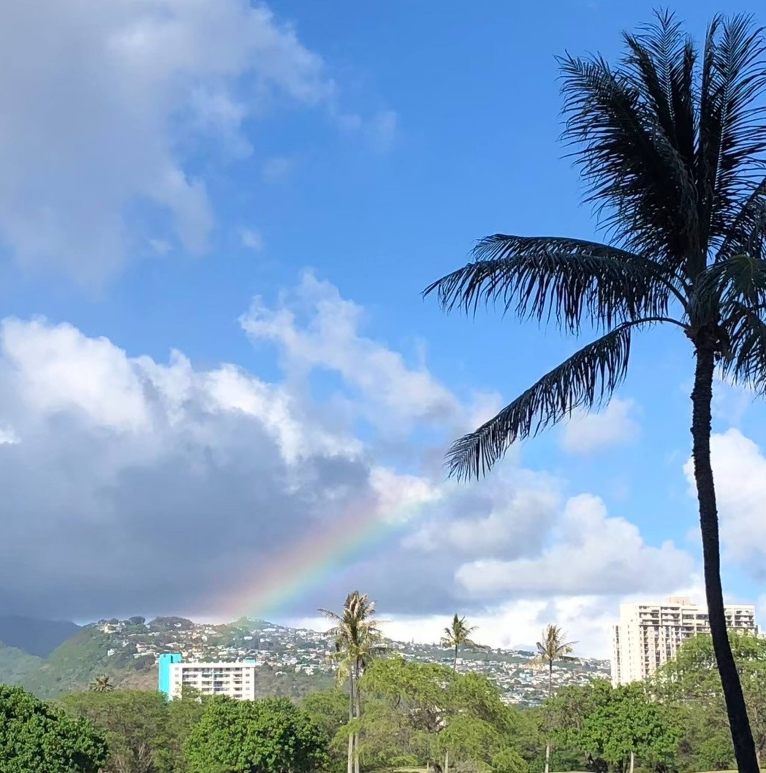 Condo in Honolulu · ★4.73 · 1 bedroom · 2 beds · 1 shared bath - Image 37