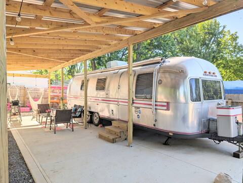 Felicia the Flamingo Airstream