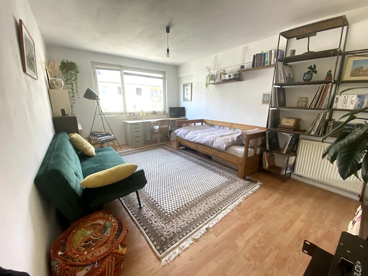 เตียงสามารถขยายได้ตั้งแต่ 90 ซม. ถึง 180 ซม.
โซฟาพับได้ ดังนั้นห้องนี้จึงรองรับผู้เข้าพักได้ 3 คน