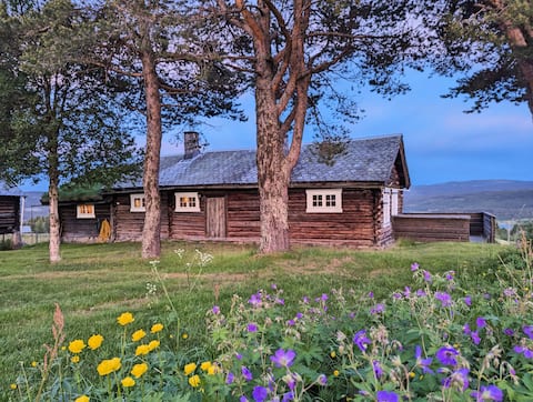 Mountain cabin with high comfort and views