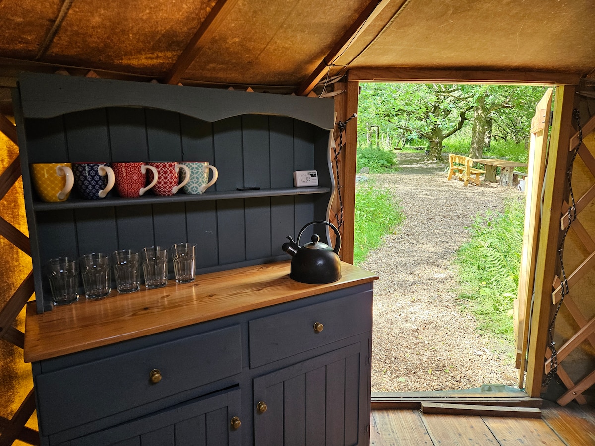A spacious wooden countertop within the yurt features a set of colorful mugs and glasses. A kettle is positioned beside the glasses. The open door reveals a pathway leading through the woodland, framed by greenery and outdoor seating in the distance.