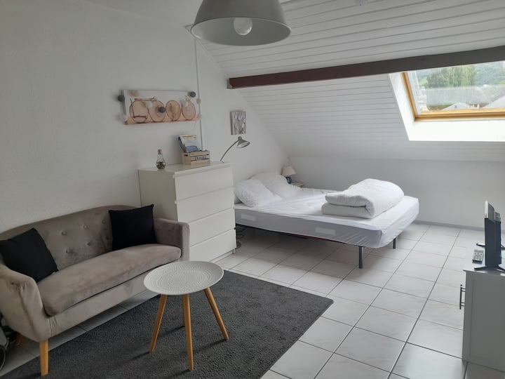 Studio Cosy Idéalement Situé Parking+cellier Privé - Luz-Saint-Sauveur