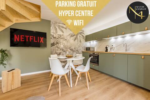 Le Green Duplex - Clim-Terrasse-Netflix-Parking