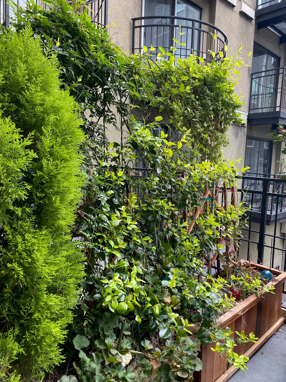Belltown City Escape