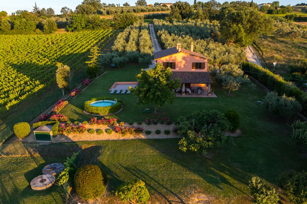 Aerial view of the villa surrounded by lush vineyards and olive groves. The spacious garden features manicured landscaping and a private pool. The villa, with a terracotta roof and warm exterior, is situated amidst tranquil countryside, offering scenic views of the surrounding hills.