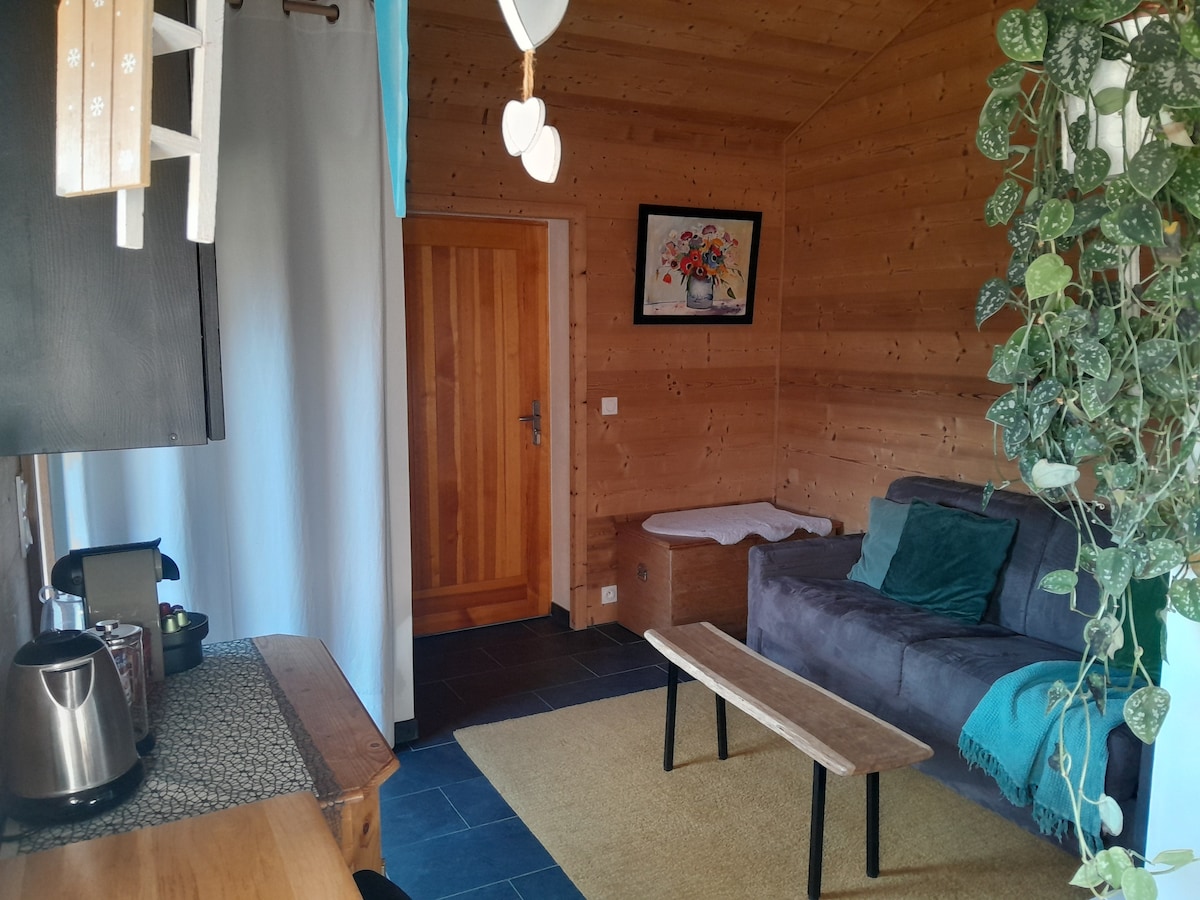 Successful Airbnb property: Passy Mont-Blanc, France in Passy