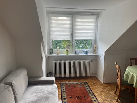 Top Airbnb: Old building apartment Westend near trade fair in Frankfurt Am Main