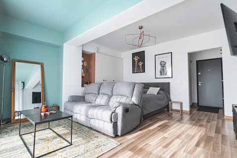 Top performing Airbnb: Wolf apartment with underground parking in Iași