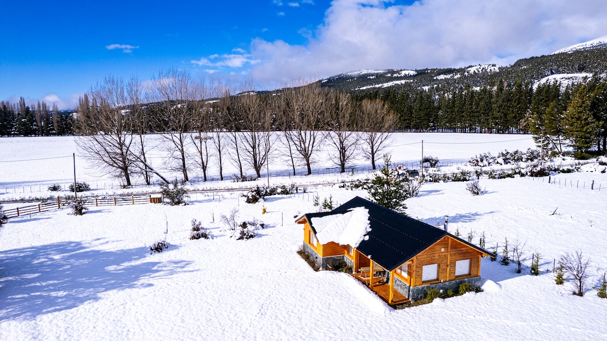 A spacious wooden cabin is situated in a snowy landscape, surrounded by white fields and tall trees. The roof is blanketed with snow, and the clear blue sky adds contrast to the scene. The cabin's exterior is warmly colored, inviting a sense of tranquility.