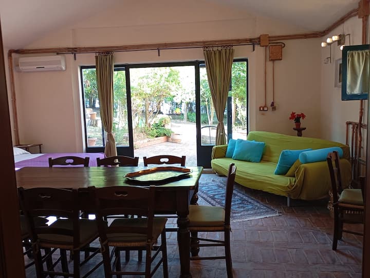 Всекидневна зона