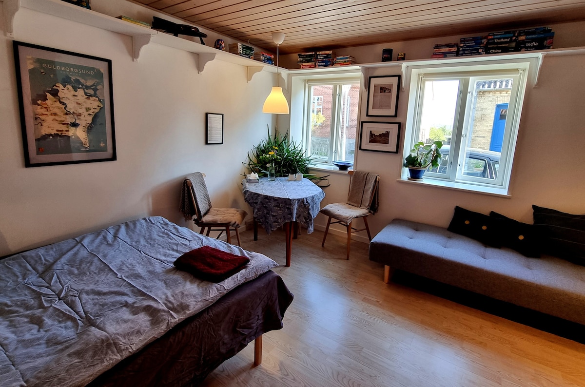 A cozy room features a spacious bed covered with a dark blanket and a seating area highlighted by a gray sofa. A small round table is surrounded by chairs, with natural light streaming through two windows adorned with plants. Shelves above hold various books.