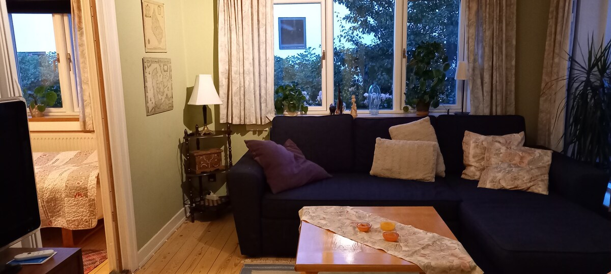 dnevni boravak sa sofom na razvlačenje i televizorom 