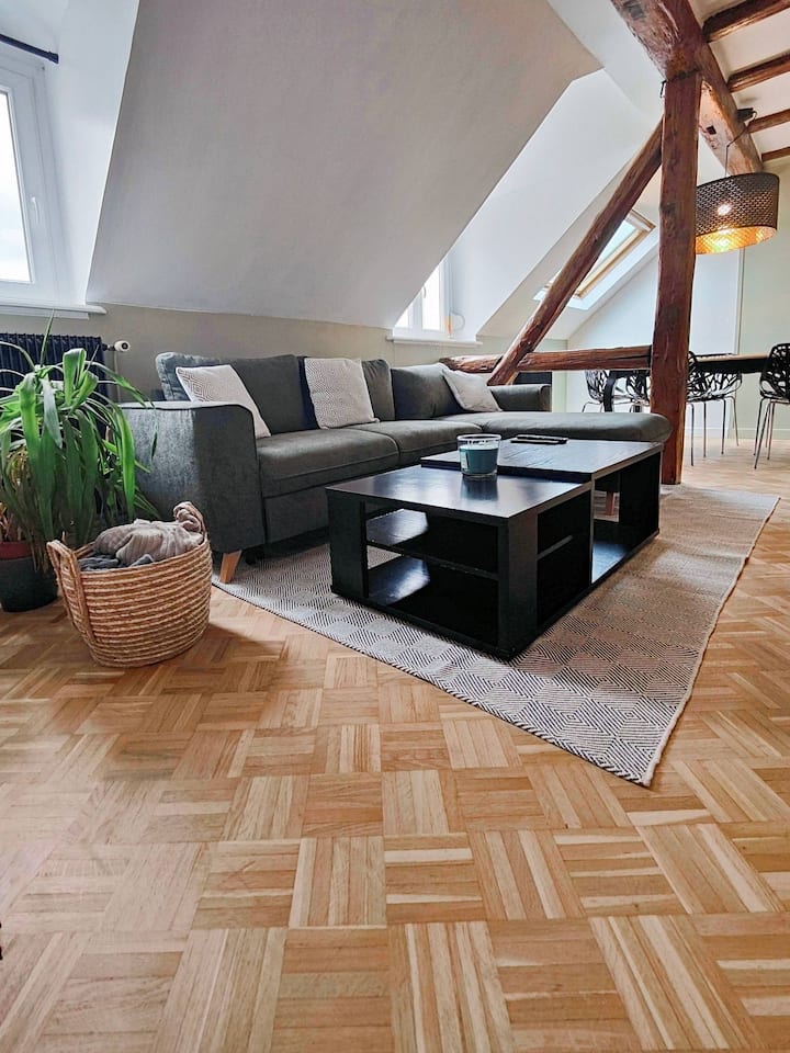 Le Baroque | Duplex | Paisible | Parking - Mulhouse