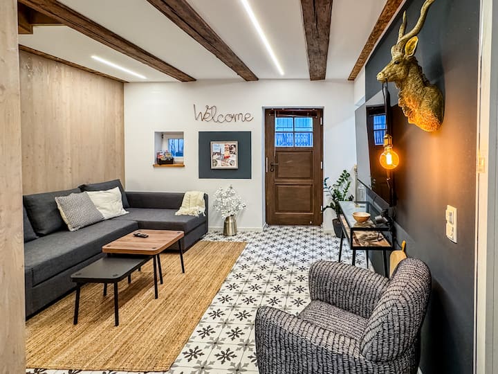Entire Historic House In Downtown Landshut - Landshut