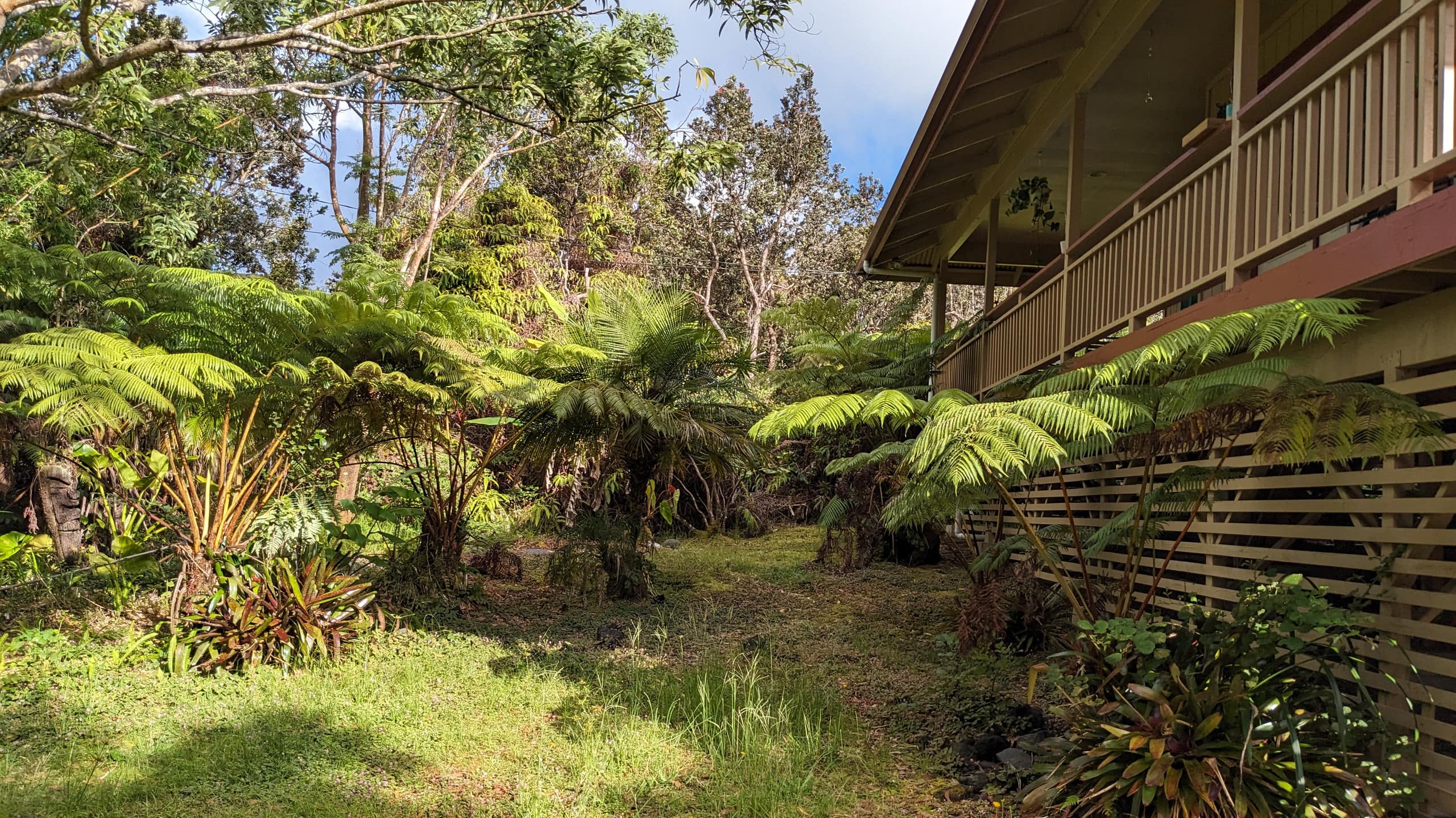 Local Living Gem: 5 Mins to Nat'l Park & Hilo Vibe - Photo 10