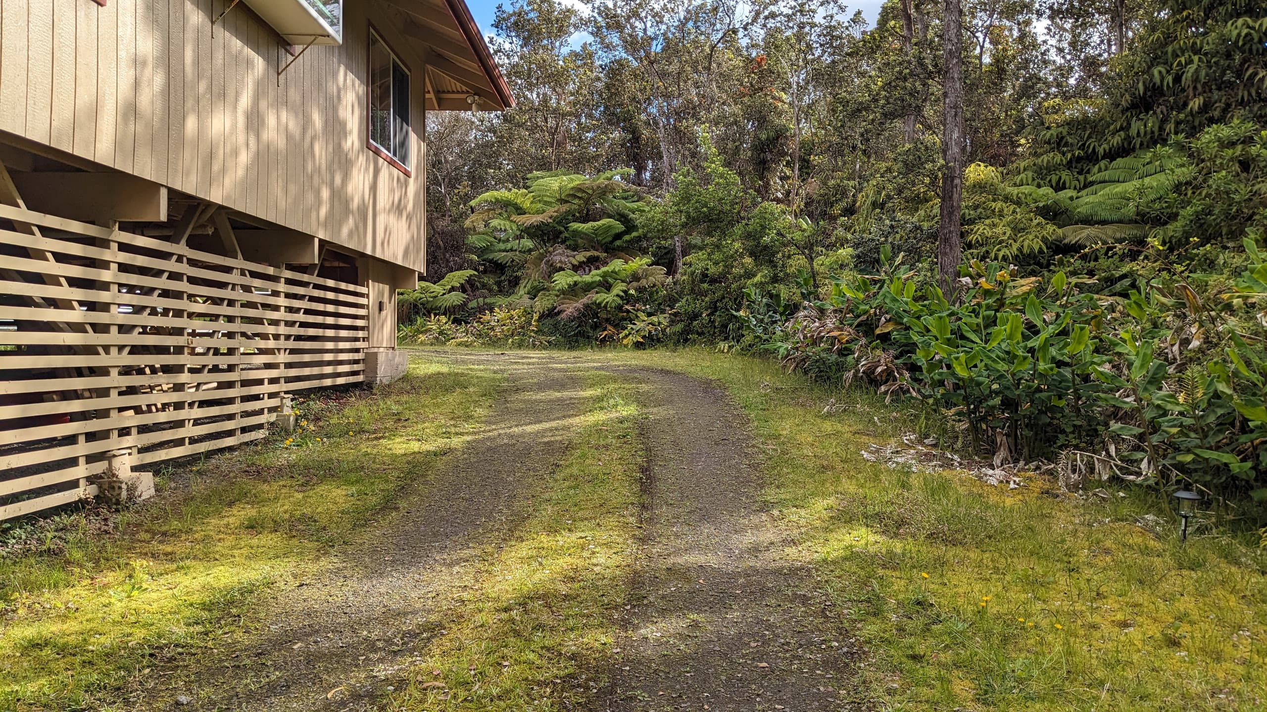 Local Living Gem: 5 Mins to Nat'l Park & Hilo Vibe - Photo 9