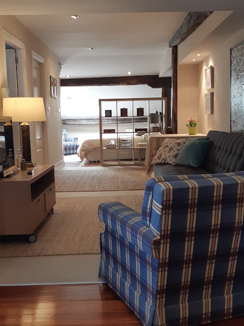 Top Airbnb: Private luxury loft _in the heart of Casco Viejo en Bilbao